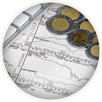 Foreign Currency and Investment Advisor